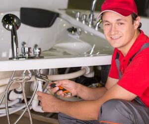 About Plumbers Pros Athelstane, WI